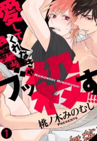 Aishite-Kurenakya-Bukkorosu