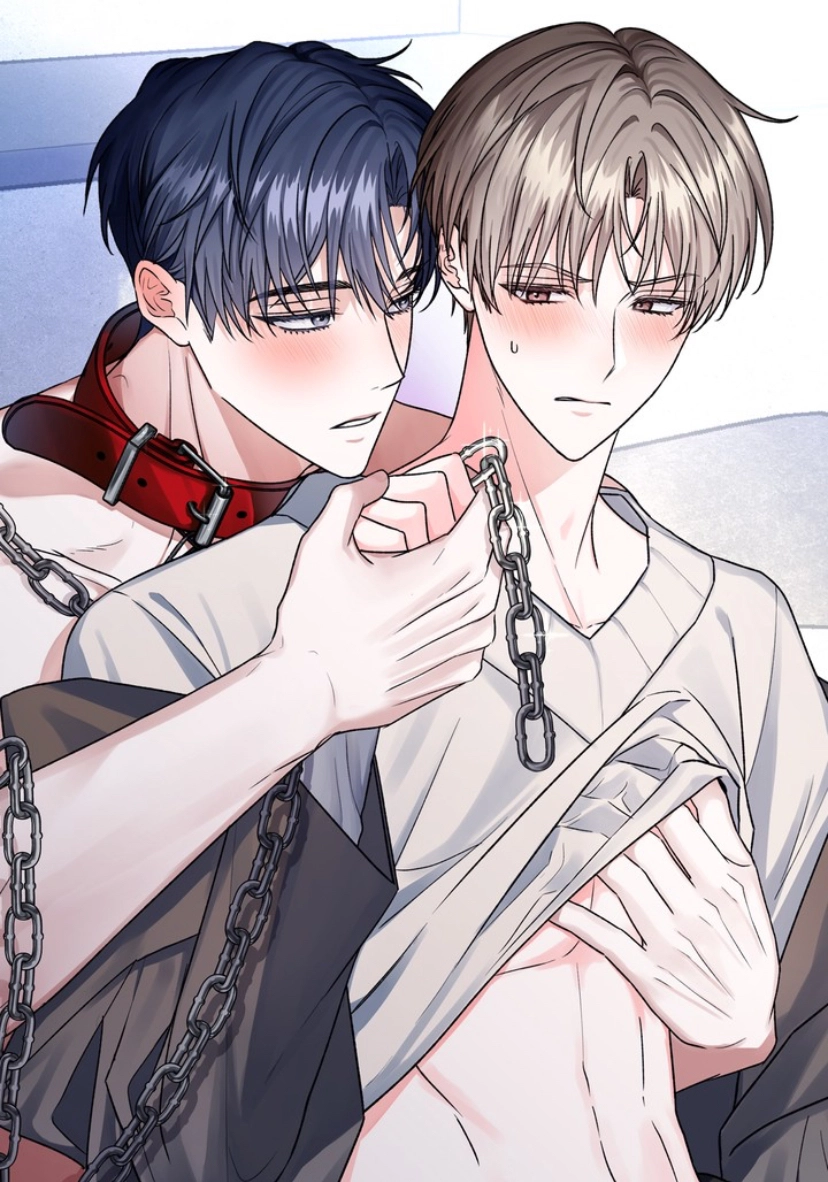 [นโยบายสุนัขเฉพาะเพศ] การคุ้มครองชั่วคราว