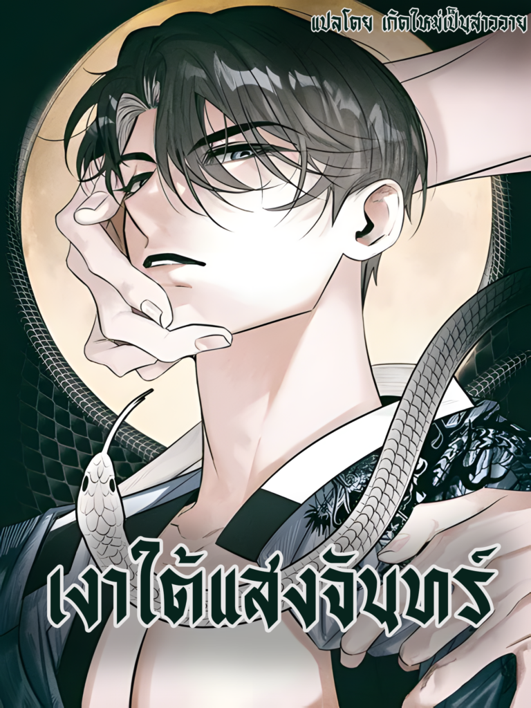 เงาใต้แสงจันทร์ Moonlight Projection